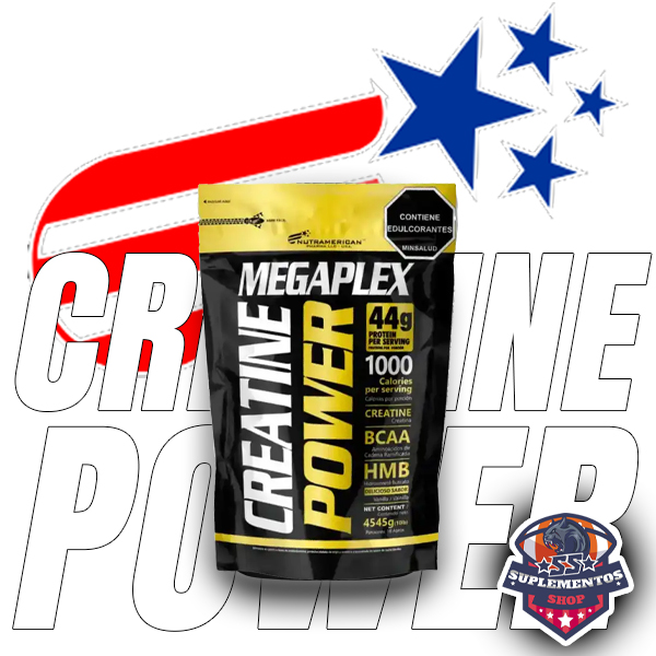 Creatine Power Proteina
